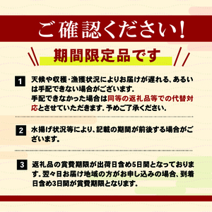 【先行予約】 さんま 15尾 冷蔵