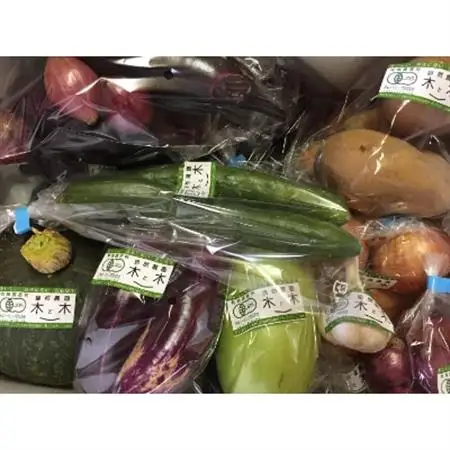 こだわりの”炭素循環農法”で育てた「旬の有機野菜詰合せ」_野菜   _【配送不可地域：離島】【1246834】