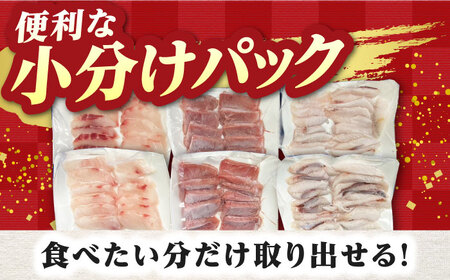 【全12回定期便】対馬 イカ 姿造り と 刺身 の セット 新鮮 海鮮 いか 冷凍 刺身 ケンサキイカ [WAK015]
