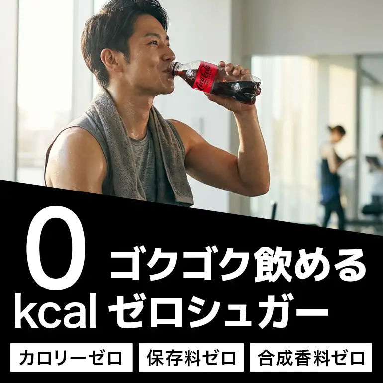 コカ・コーラゼロシュガー　500ml×24本｜コーラ AY06
