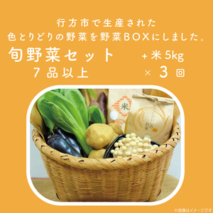 【3ヶ月定期便】野菜王国なめがたの旬野菜便(米 5kg入り)｜野菜 やさい 米 お米 旬 野菜セット セット 茨城県 行方市(CU-136)