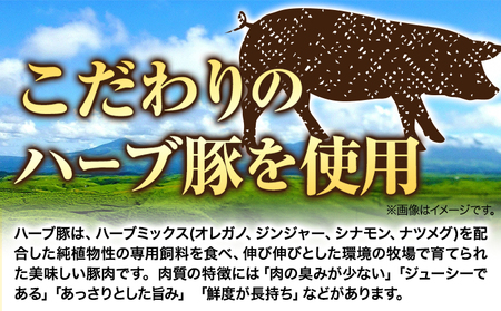 DLG7連続金賞受賞！『阿蘇の逸品』詰め合わせ《30日以内に出荷予定(土日祝除く)》物産館自然庵 ソーセージ ウィンナー ベーコン フランクフルト 肉 豚 送料無料 st-p