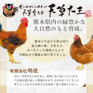 天草大王　地鶏鍋セット(3～4人前)  FKP9-344
