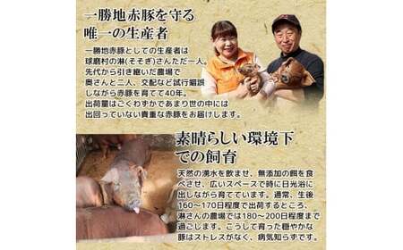  ≪6ヵ月定期≫一勝地赤豚しゃぶしゃぶセット（1kg） FKP9-462