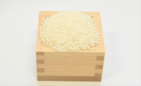 【令和6年産 新米 予約 】お米マイスターが提供　美濃加茂 産 の お米「 ミルキークイーン 」( 10kg )   | 春見ライス 米  M20S38