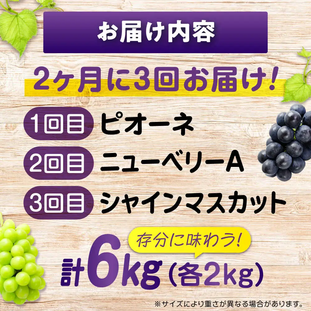 【全3回定期便】3種の沼隈ぶどう定期便 各2kg [BAEV003] ピオーネ ニューベリーA シャインマスカット
