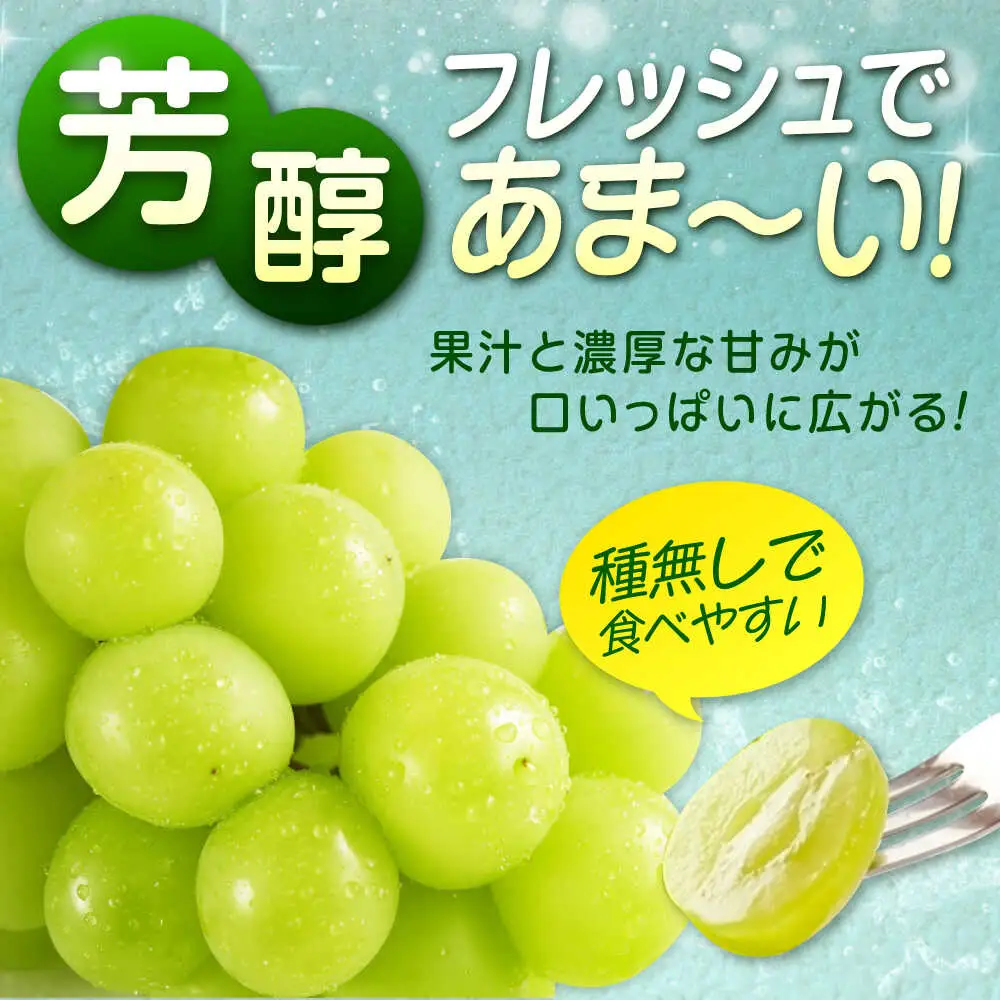 福山市産シャインマスカット 約1kg【2026年発送】 [BAEV005] シャインマスカット