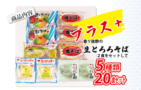 夏のめんお楽しみセット(5種類20食分) ｜ 焼きそば 中華ざる ラーメン 石川製麺 麺類 麺セット 夏 夏休み ランチ お昼ご飯 夕飯 冷し生ラーメン コシ 細ちぢれ麺 冷やし中華 ゆでスパゲティ 冷し麺 ※北海道・沖縄・離島への配送不可