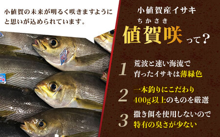 【高級魚】うまかドン イサキ漬け 5個   [DAK005] 海鮮丼
