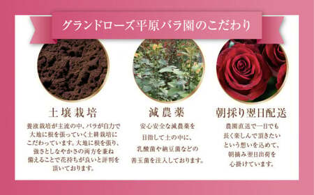 バラとユーカリ アレンジブーケ 花束 20本(40cm) 薔薇 花束