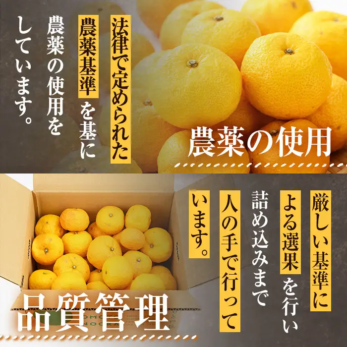 ＜先行予約受付中！2026年11月上旬以降順次発送予定＞柚子(約4kg)かんきつ 柑橘 期間限定 おもとの丘【111300701】【未来農林】