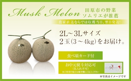  2027年《先行予約》マスクメロン 2玉  メロン 2L～3Lサイズ