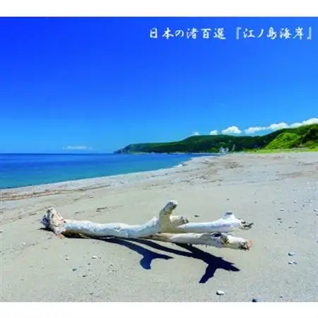 【北海道島牧村】ほっけ浜風一夜干し5枚セット　日本海・モッタ岬沖の厳選品　脂乗り抜群!【配送不可地域：離島】【1314786】