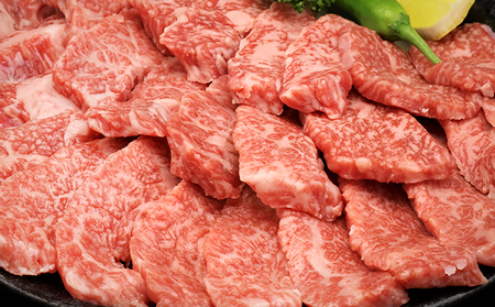 飛騨牛焼肉セット ロース カルビ A5 和牛 飛騨牛焼肉セット【計1kg】