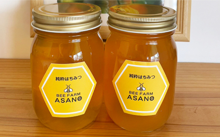 純粋ハチミツ 2種セット (アカシア500g×1 山桜500g×1) 瑞浪市 / honey shop Bee farm asano 蜂蜜 はちみつ [AZBT013]