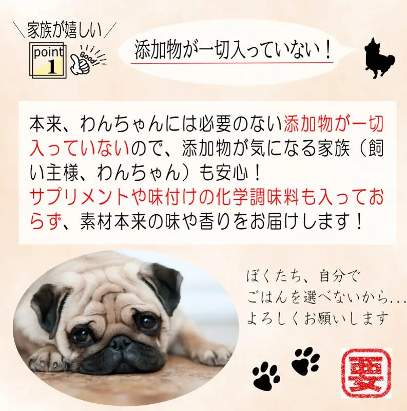 国産無添加ドッグフード「いのちのごはん」500g