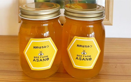 純粋ハチミツ アカシア 500g×2 瑞浪市 / honey shop Bee farm asano 蜂蜜 はちみつ [AZBT003]