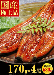 [001-b002] 国産うなぎ蒲焼き4尾セット