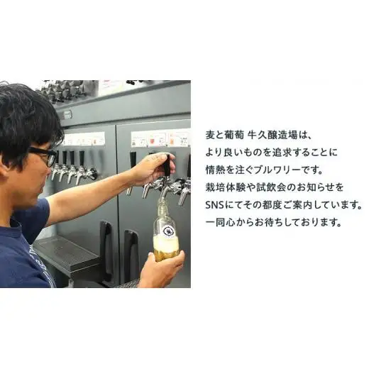 【 6ヶ月隔月 】 クラフトビール おまかせ 定期便 6本セット 飲み比べ 茨城県産 牛久醸造場 330ml × 6本