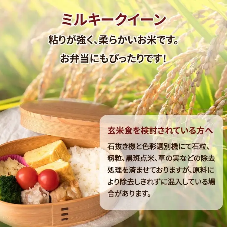 【先行予約】令和8年産 茨城県産 ミルキークイーン 玄米（5kg×1袋） ※2026年10月～発送