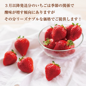 【ふるさと納税】３月下旬より順次発送 暖家のいちご 完熟あまおう 4パック(形不揃い)  B4 [a6408] 社会福祉法人猪位金福祉会 暖家の丘 ※配送不可：北海道・沖縄・離島【返礼品】添田町 ふるさと納税