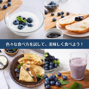 【摘みたてフレッシュ】一粒一粒ていねいに摘み取ったブルーベリーを生のままお届け　600g(150g×4パック）［ 摘みたてフレッシュ ブルーベリー 生 セット 果物 フルーツ 人気 おすすめ ギフト プレゼント お取り寄せ 通販 送料無料 ふるさと納税 ］
