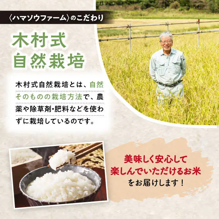 ヒノヒカリ白米 5kg CBR002 白米