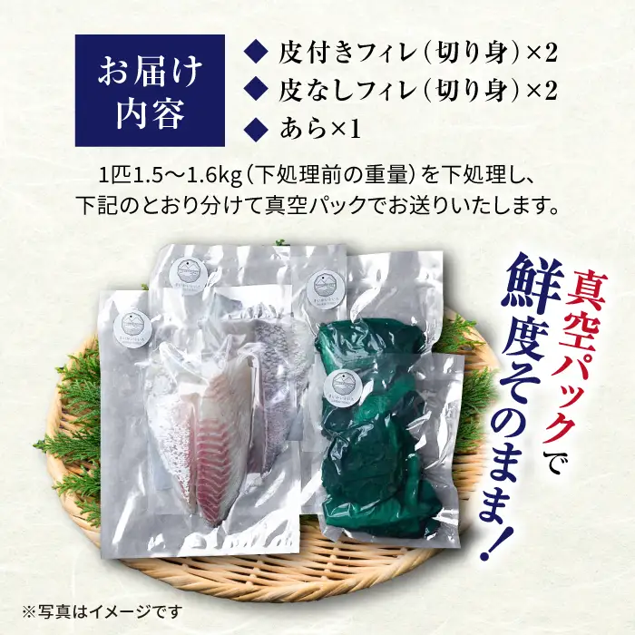 土日お届け 真鯛 堪能5点セット CBW005 真鯛