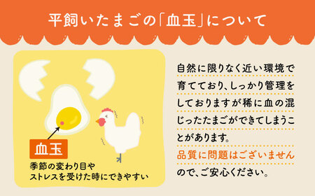 まつもと たまご＆平飼い しあわせたまご 各20個（計40個）[CCD020] 卵