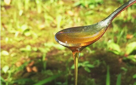 【数量限定】天然 蜂蜜 ｢百花蜜｣ 計800g（400g×2個）はちみつ＜高岸農園＞ [CCH002]  百花蜜 蜂蜜 ハチミツ