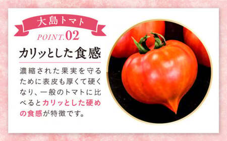 先行予約 3回定期便 大島トマト 約3kg CCK006 トマト