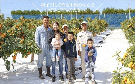 先行予約 原口みかん 特秀品 8kg 傷み保証分含む CCT004 みかん みかん