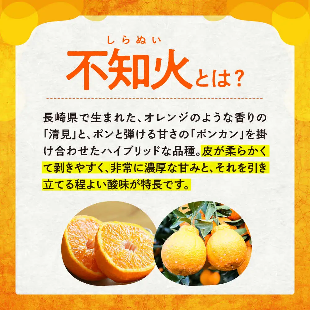 デコポン 不知火 3kg ＜原口果樹園＞ CCW005 デコポン みかん