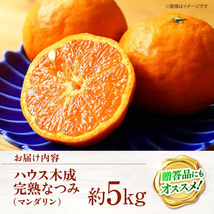 なつみ みかん 約5kg＜原口果樹園＞CCW006 みかん