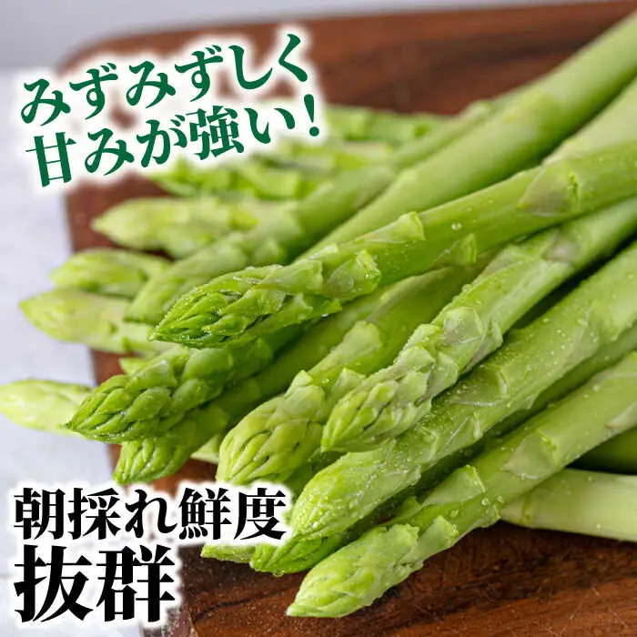 【2026年5月下旬-発送】【数量限定】【星のアスパラ】厳選 グリーン アスパラガス 約2kg / アスパラ アスパラガス 野菜 / 南島原市 / ほしのYA [SEY002]
