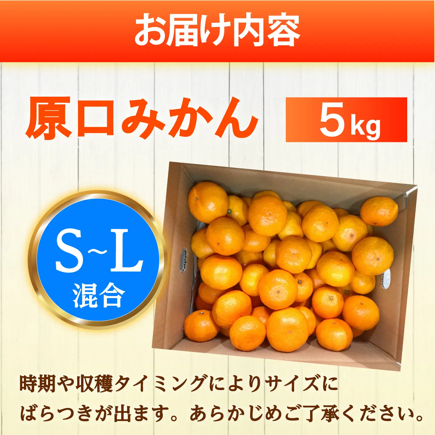 原口みかん 約5kg [CCZ004]  みかん