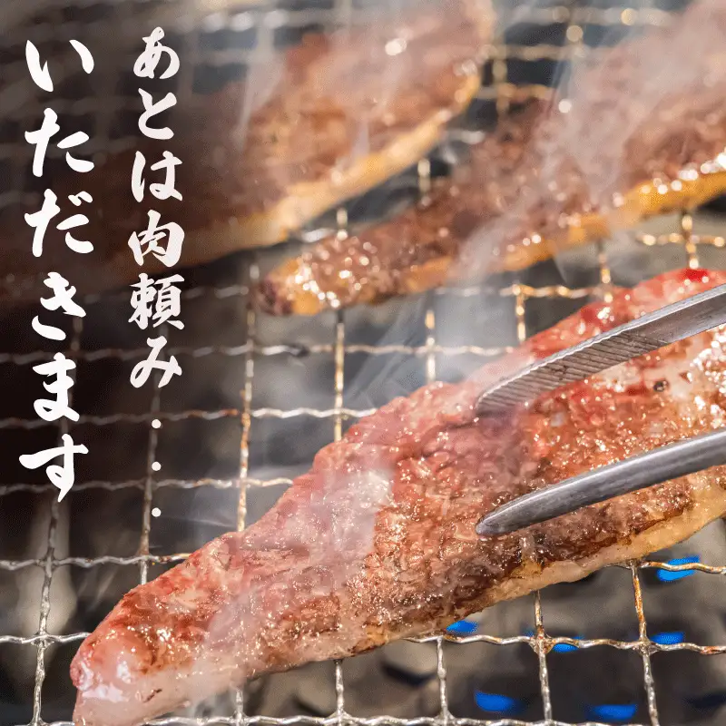 【定期便全6回】 松阪牛 焼肉 （特選ロース） 500g 【受付時期・発送時期限定】 E2169-0