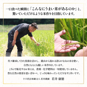 令和6年産 米 【定期便】 十六代目米師又八 謹製 にこまる 10kg×12ヶ月 若井農園おすすめ米1.8kg付  ( 米 にこまる 精米 にこまる 白米 にこまる 2024年産 にこまる 産地直送 にこまる 農家直送 にこまる 国産 にこまる 特別栽培米 にこまる 金賞農家 にこまる 滋賀県 竜王町)