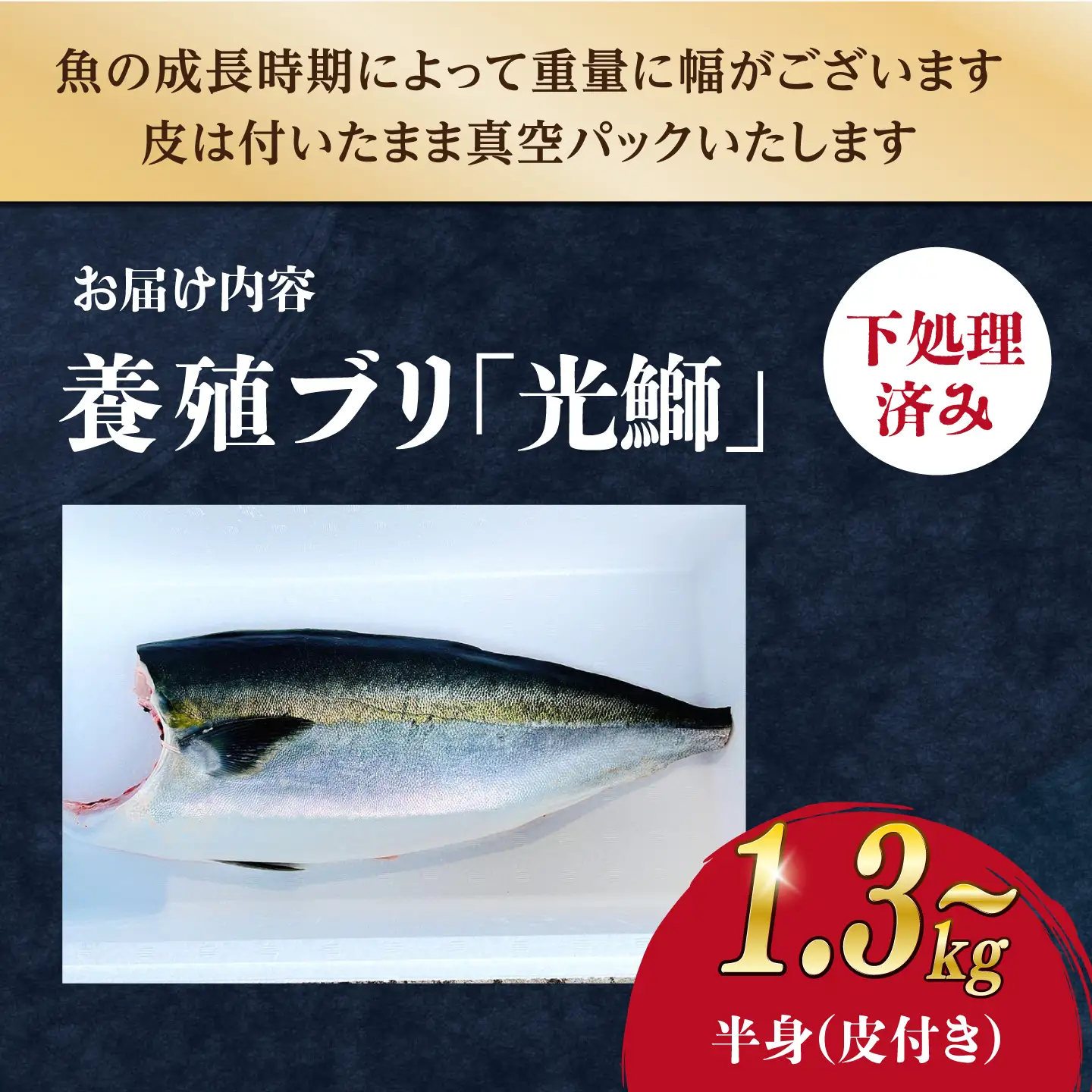 【復活】 養殖 ぶり 「光鰤」半身 約1.3kg? 刺身 ぶり ブリしゃぶ ＜小山水産＞ [CDZ005]