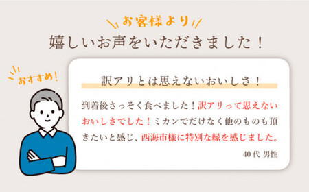 みかん 西海【 訳あり 】 石地みかん 約5kg 西海市 贈答 ギフト 家庭用  ＜中尾果樹園＞ [CEL006]