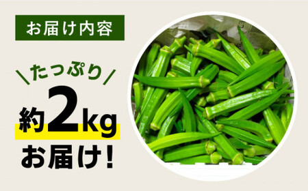 先行予約 オクラ 2kg＜パッパラパー農園＞ [CFI004] 産地直送 オクラ 新鮮 野菜