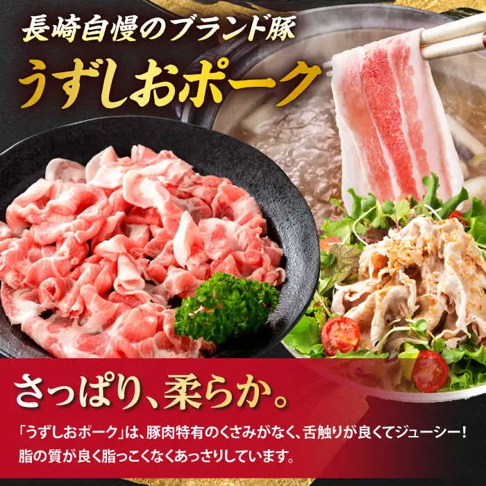 3回定期便 肉と海 西海の宝物定期便 | [CZZ020] 定期便