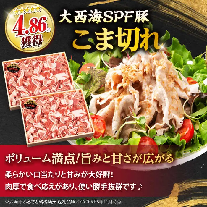 3回定期便 上位人気 西海の宝物定期便 | CZZ023 定期便