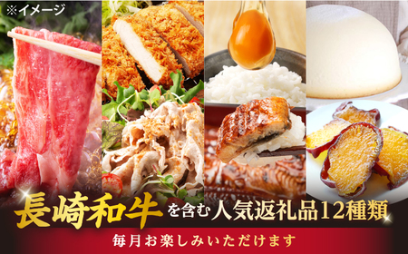 12回定期便 上位人気 西海の宝物定期便 | CZZ025  定期便