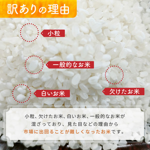 【定期便6回】栃木県産ブレンド米 15kg