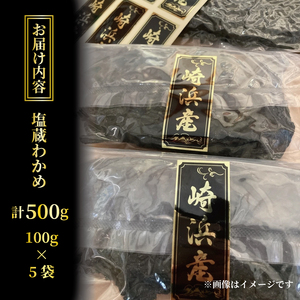 塩蔵わかめ 500g 100g×5袋 わかめ 海鮮 海藻 魚貝類 魚介類 小分け みそ汁 スープ 酢の物 三陸産 岩手県 大船渡市
