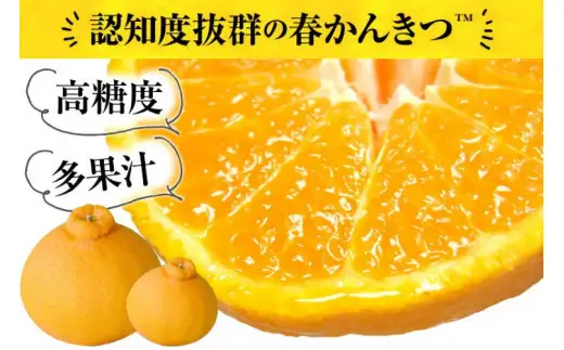 田村 産 「デコ」 不知火 2.8kg 春みかん (果実サイズおまかせ) / デコポン 不知火 みかん 蜜柑 柑橘 果物 フルーツ 紀伊国屋文左衛門本舗 ※2027年2月中旬～3月下旬頃に順次発送予定(お届け日指定不可) 【kmtb010-tar-2d8】