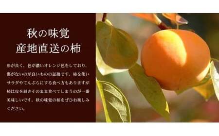  和歌山の 種なし 柿 約7.5kg 秀品 サイズ・品種おまかせ / かき 柿 たねなし柿 和歌山 ※2026年9月下旬～11月下旬頃に順次発送予定(お届け日指定不可)  【kmtb801B】