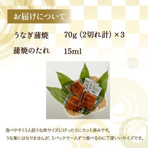 四万十のうなぎ蒲焼（3人前） 冷凍 特大 たれ付き うなぎ うなぎ蒲焼 高知うなぎ 国産うなぎ うな重 鰻 国産鰻 高知鰻 冷凍鰻 鰻蒲焼 四万十うなぎ ／Ess-B07