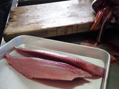 宿毛の魚 ふるさと宅急便 B 宅急便